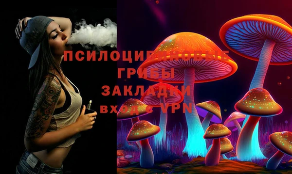 тгк Алексин
