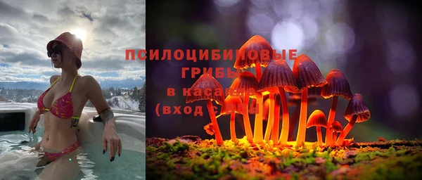 тгк Алексин